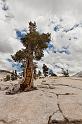 002 Yosemite NP, Tioga Pass